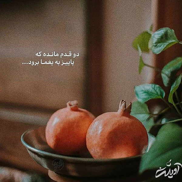 عکس پروفایل یلدا عکس شب یلدا با کیفیت بالا عکس شب یلدا خانوادگی عکس شب یلدا دونفره عکس برای شب یلدا دخترانه عکس شب یلدا 1402 عکس شب یلدا عاشقانه عکس پروفایل یلدا u;s \v,thdg dgnh